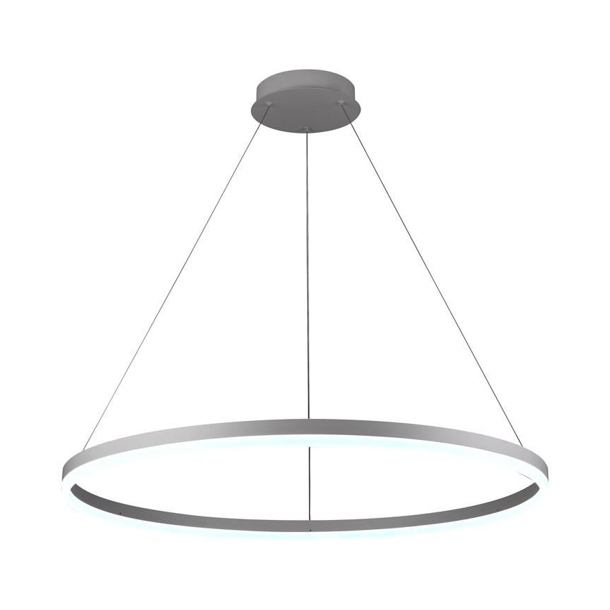 Brilagi - LED lustra ar regulējamu spilgtumu uz troses CIRCLE LED/55W/230V 3000-6500K Ø 80 cm balta + ar tālvadības pulti