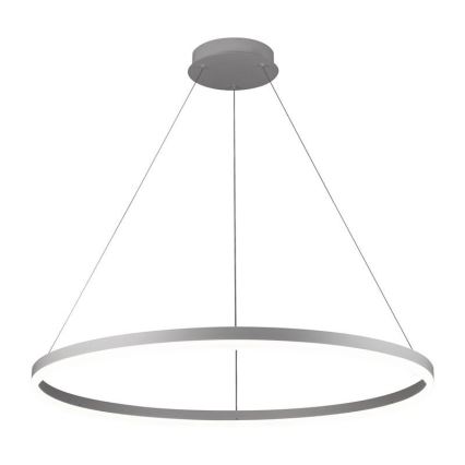 Brilagi - LED lustra ar regulējamu spilgtumu uz troses CIRCLE LED/55W/230V 3000-6500K Ø 80 cm balta + ar tālvadības pulti