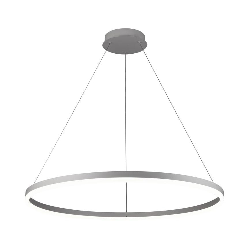 Brilagi - LED lustra ar regulējamu spilgtumu uz troses CIRCLE LED/55W/230V 3000-6500K Ø 80 cm balta + ar tālvadības pulti