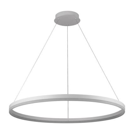 Brilagi - LED lustra ar regulējamu spilgtumu uz troses CIRCLE LED/55W/230V 3000-6500K Ø 80 cm balta + ar tālvadības pulti