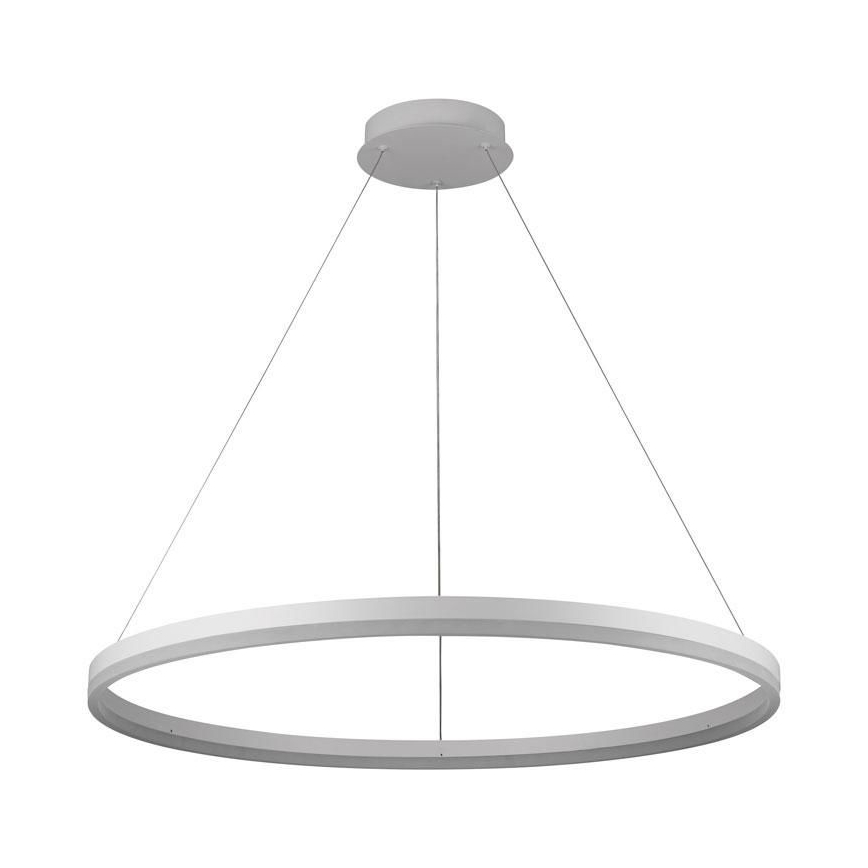 Brilagi - LED lustra ar regulējamu spilgtumu uz troses CIRCLE LED/55W/230V 3000-6500K Ø 80 cm balta + ar tālvadības pulti