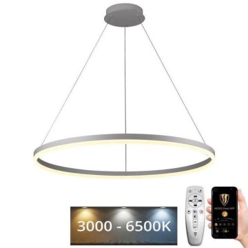 Brilagi - LED lustra ar regulējamu spilgtumu uz troses CIRCLE LED/55W/230V 3000-6500K Ø 80 cm balta + ar tālvadības pulti