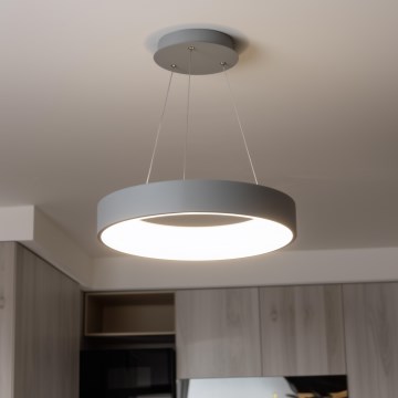 Brilagi - LED lustra ar regulējamu spilgtumu uz troses FALCON LED/80W/230V 3000-6500K Ø 60 cm pelēka + tālvadības pults