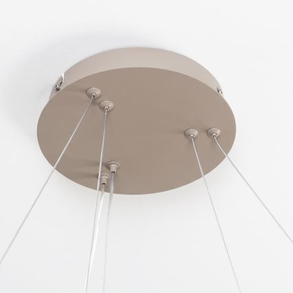 BRILAGI - LED Aptumšojama lustra uz troses FALCON SLIM LED/68W/230V 3000-6500K Ø 50 cm bēša + tālvadība