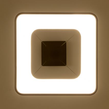 Brilagi - LED regulējama lustra uz kabeļa FALCON II LED/80W/230V 3000-6500K 40x40 cm melna + tālvadības pults