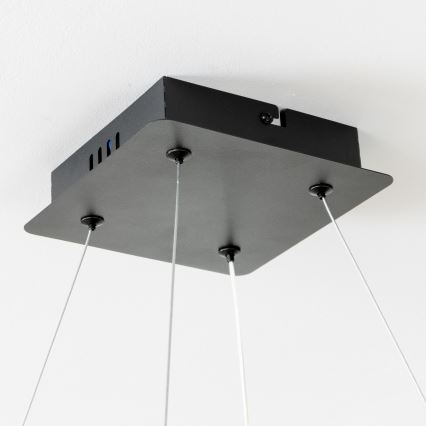 Brilagi - LED regulējama lustra uz kabeļa FALCON II LED/80W/230V 3000-6500K 40x40 cm melna + tālvadības pults