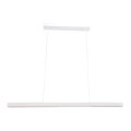 Brilagi - LED lustra uz kabeļa AXIS LED/30W/230V 120 cm balta