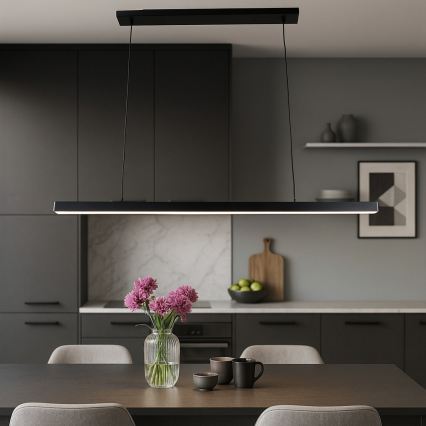 Brilagi - LED lustra uz kabeļa AXIS LED/30W/230V 120 cm melna