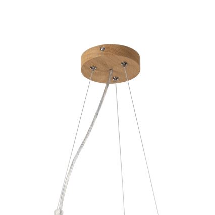 Brilagi - LED lustra uz kabeļa CARVALHO MODERN 3xE27/60W/230V, ozols, Ø 47,5 cm