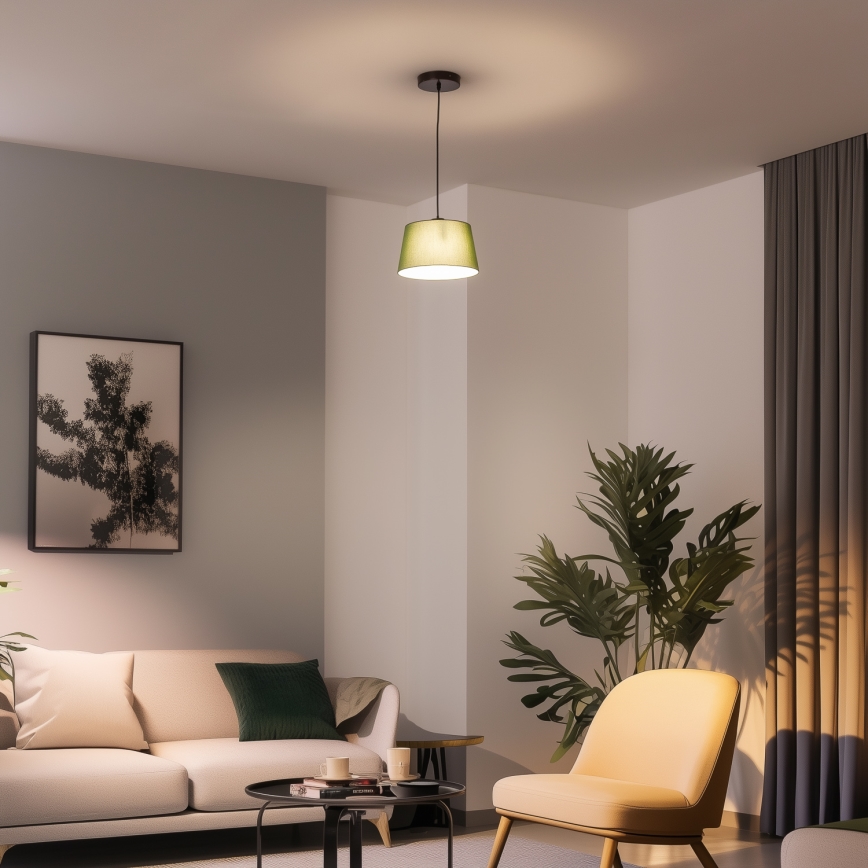 Brilagi - LED lustra uz kabeļa CERIA 1xE27/40W/230V, Ø 25 cm, zaļa