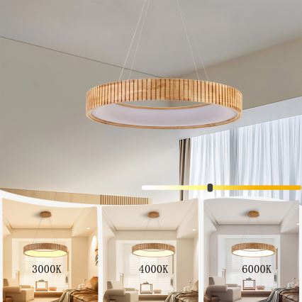 Brilagi - LED pakaramā lustra uz troses FALCON WOOD MODERN LED/40W/230V 3000/4000/6000K Ø 60 cm, koka