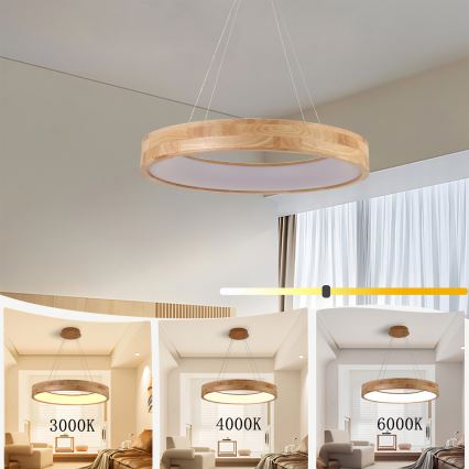 Brilagi - FALCON WOOD koka LED lustra uz troses LED/40W/230V 3000/4000/6000K Ø 60 cm