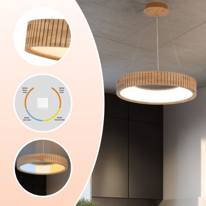 Brilagi - LED lustra uz troses FALCON WOOD MODERN, LED 30 W, 230 V, 3000/4000/6000 K, Ø 45 cm, koka