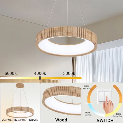 Brilagi - LED lustra uz troses FALCON WOOD MODERN, LED 30 W, 230 V, 3000/4000/6000 K, Ø 45 cm, koka