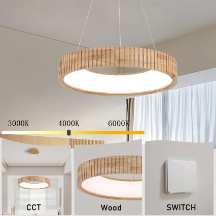 Brilagi - LED lustra uz troses FALCON WOOD MODERN, LED 30 W, 230 V, 3000/4000/6000 K, Ø 45 cm, koka