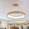 BRILAGI - LED lustra uz troses FALCON WOOD MODERN LED/60W/230V 3000/4000/6000K Ø 80 cm koka