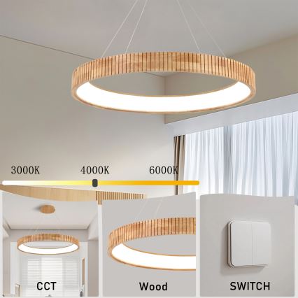 Brilagi - LED lustra uz troses FALCON WOOD MODERN LED/60W/230V 3000/4000/6000K Ø 80 cm koka