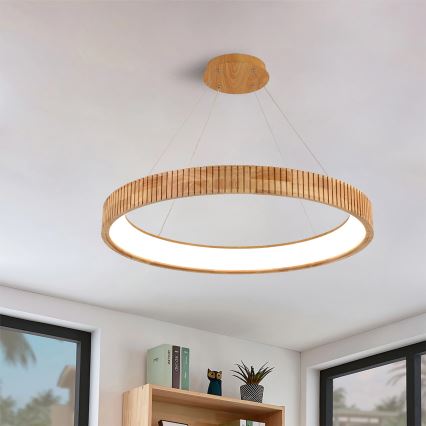 Brilagi - LED lustra uz troses FALCON WOOD MODERN LED/60W/230V 3000/4000/6000K Ø 80 cm koka