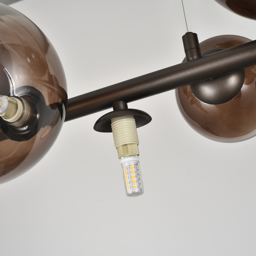 Brilagi - LED lustra uz troses MILLA 10xG9/3W/230V brūna/dūmaina brūna