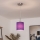 Brilagi - LED lustra uz troses NUBILA 1xE27/60W/230V Ø 14 cm violeta
