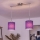 Brilagi - LED lustra uz troses NUBILA 2xE27/60W/230V violeta