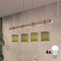 BRILAGI - LED lustra uz troses NUBILA 4xE27/60W/230V pelēka/zaļa