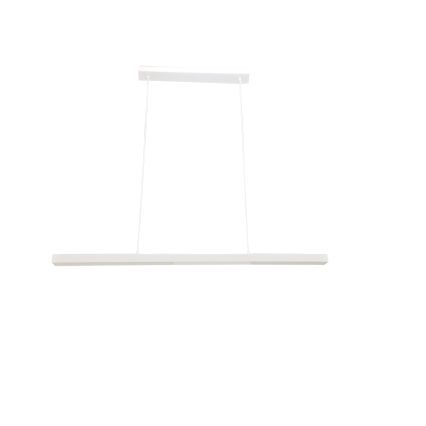 BRILAGI - LED lustra uz troses PAXIS LED/30W/230V 120 cm balta