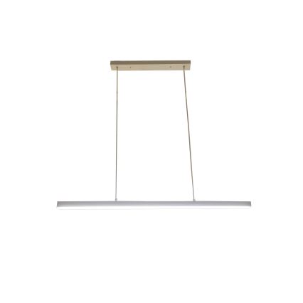 BRILAGI - LED lustra uz troses PAXIS LED/30W/230V 120 cm balta