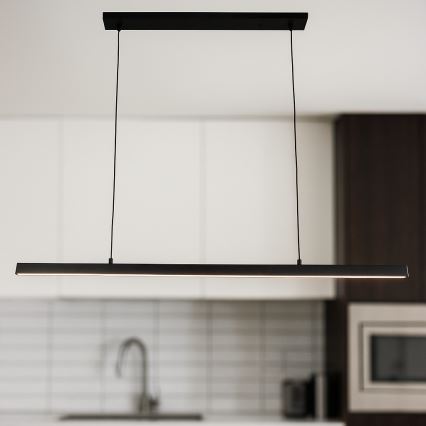 BRILAGI - LED lustra uz troses PAXIS LED/30W/230V 120 cm melna