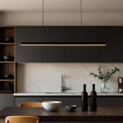 BRILAGI - LED lustra uz troses PAXIS LED/30W/230V 120 cm melna
