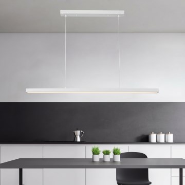 Brilagi - LED lustra uz troses PPAXIS LED/30W/230V 120 cm balta