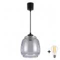 BRILAGI - LED lustra uz troses RETRO GLASS 1xE27/60W/230V Ø 26 cm melna/dūmakaina pelēka