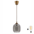 BRILAGI - LED lustra uz vada RETRO GLASS 1xE27/60W/230V Ø 14 cm brūna/dūmakaina pelēka