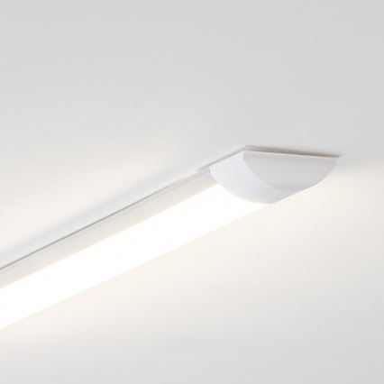Brilagi - LED neona gaismeklis AVERO LED/16W/230V 60 cm