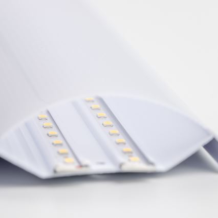 Brilagi - LED neona gaismeklis LUMA LED/16W/230V 60 cm