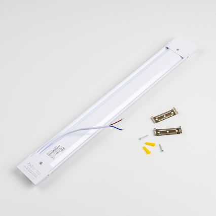 Brilagi - LED neona gaismeklis LUMA LED/16W/230V 60 cm