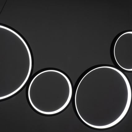 BRILAGI - LED pakaramā lampa ECHO uz troses LED/60W/230V 4000K 100 cm melna