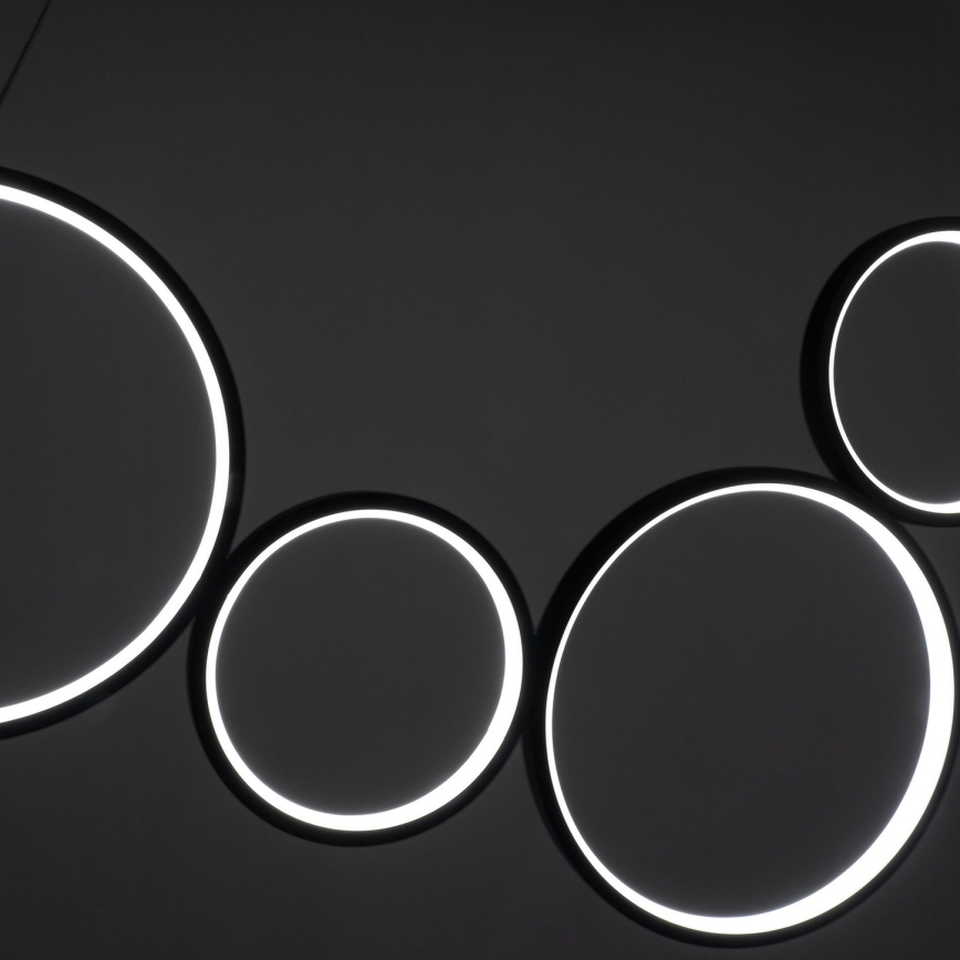 BRILAGI - LED pakaramā lampa ECHO uz troses LED/60W/230V 4000K 100 cm melna