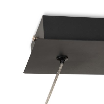 BRILAGI - LED pakaramā lampa ECHO uz troses LED/60W/230V 4000K 100 cm melna