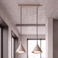 BRILAGI - LED Pakaramā lampa uz vada CONE DOUBLE 2xGX53/15W/230V bēša