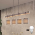 BRILAGI - LED pakaramā lustra uz troses NUBILA 4xE27/60W/230V gaiši pelēka