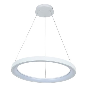 Brilagi - LED pakaramais gaismeklis ar regulējamu spilgtumu uz troses FALCON SLIM LED/42W/230V 3000-6500K Ø 50 cm balts + tālvadība