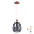 BRILAGI - LED piekaramā lampa ar vadu RETRO GLASS 1xE27/60W/230V Ø 26 cm vara/dūmakaini pelēka
