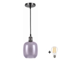BRILAGI - LED piekaramā lampa uz troses RETRO GLASS 1xE27/60W/230V Ø 14 cm melna/dūmakaina pelēka