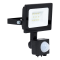 BRILAGI - LED prožektors ar sensoru ELARA ECO LED/10W/230V IP65