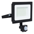 BRILAGI - LED prožektors ar sensoru ELARA ECO LED/50W/230V IP65