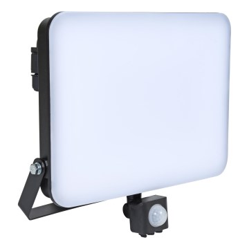 Brilagi - LED Prožektors ar sensoru ELARA PRO LED/100W/230V IP65