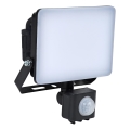 BRILAGI - LED prožektors ar sensoru ELARA PRO LED/20W/230V IP65
