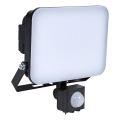 BRILAGI - LED prožektors ar sensoru ELARA PRO LED/30W/230V IP65