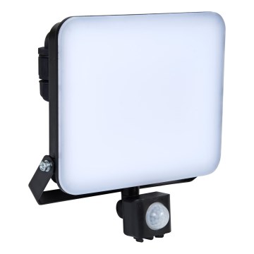 Brilagi - LED Prožektors ar sensoru ELARA PRO LED/50W/230V IP65